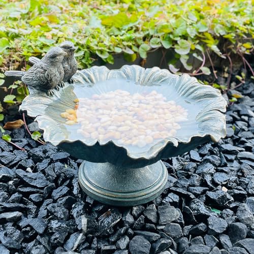 Bird Baths for Outdoors, Resin Pedestal Bird Bath Bowl with Bird Accents, Garden Decoration Bird Feeder for Patio, Lawn, Yard, or Table Decor - color: Hummingbird Feeder