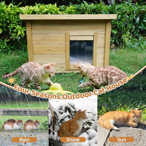 Agitree Outdoor Wooden Pet House, Weatherproof Winter Shelter for рuррy and Small Cats, Elevated Design with Window (Yellow, 22.56 * 17.71 * 16.73Inches)