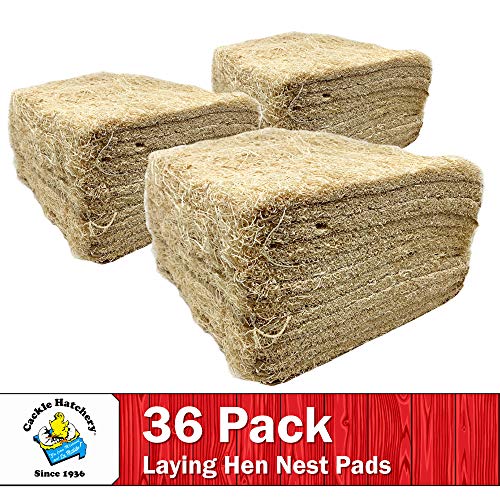 Laying Hen Nest Box Pads Made in USA from Sustainable Aspen Exceslior - 13x13 Nesting Box Liners (36 Pack) - size: 36 Pack