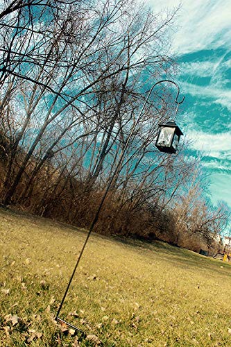Ashman Black Shepherd Hook 92 Inch (Pack of 2), 1/2-Inch Thick, Solid Metal Single Piece Hook, Super Strong, Rust Resistant, Hanging Plant Baskets, Lanterns, Heavy Bird Feeders & More. - size: 2 Pack
