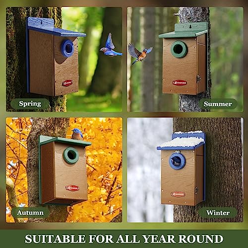 Kingsyard Recycled Plastic Bluebird House for Outdoor + Kingsyard Recycled Plastic Wren Bird House for Outdoors