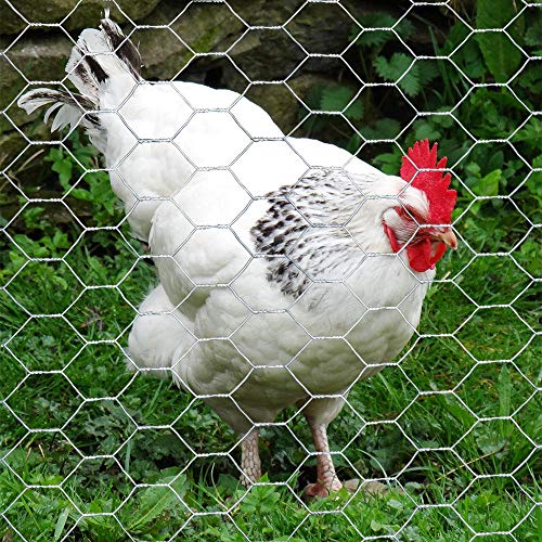 20GA Galvanized 72in x 50ft x 1in Mesh Chicken Wire Hexagonal Poultry Netting - size: 72"x50'