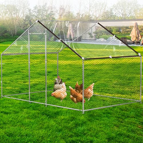 6.6x13 Ft Chicken Coop Cover with 10 Pcs Ball Bungees Cords Transparent Waterproof Material Protection from Sun Rain Snow and Low Temperature