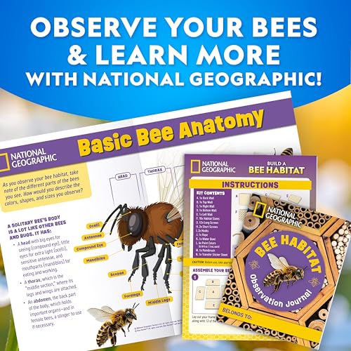 National Geographic Build a Bee Habitat Nature Craft Kit for Kids | Build and Paint a Mason Bee House, Outdoor Nature Craft, Pollinator Learning, Solitary Bee Hotel, Birthday Gift - style: DIY Bee Habitat