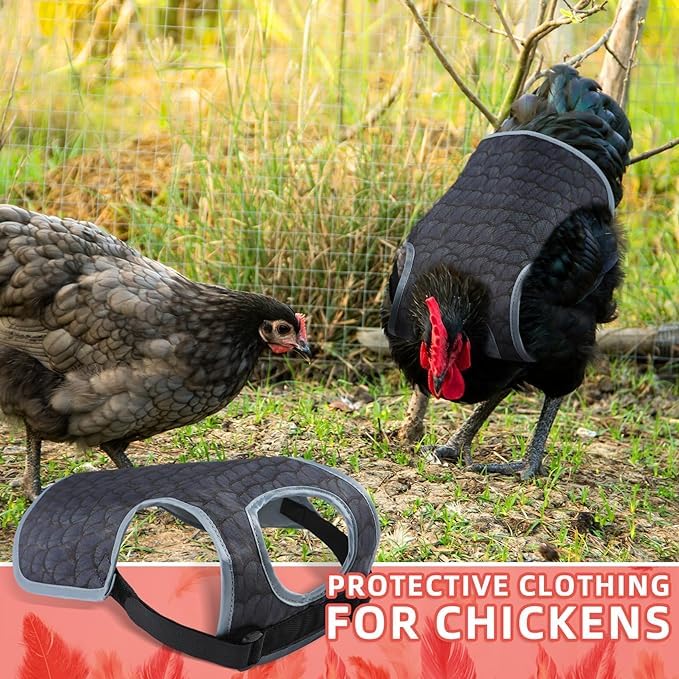 Chicken Saddles for hens, Chicken Hen Mating Saddle | Chicken Apron Back Protector for Hens With Adjustable Strap - color: Black