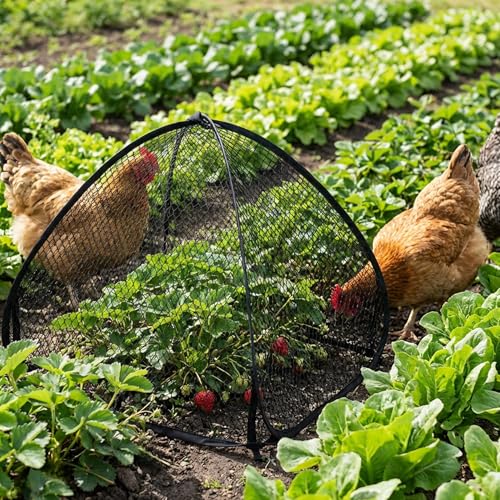 DECOHS 2 Pcs Pop-Up Mesh Plant Cover Tent, 22 x 22 x 22 Inch Garden Net Cage Guard Cover, Plant Protector Enclosure with 12 Ground Stakes for Protecting Plants Vegetable Fruit from Birds Insects - color: 22 x 22 x 22 inch