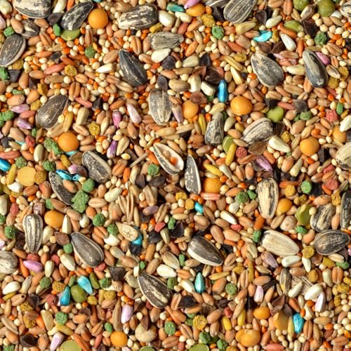 Wild Harvest Universal Blend for Medium and Large Birds 10 Pounds; Fortified Nutrition,(Pack of 3) - size: 10 Pound (Pack of 3), style: Medium & Large Birds