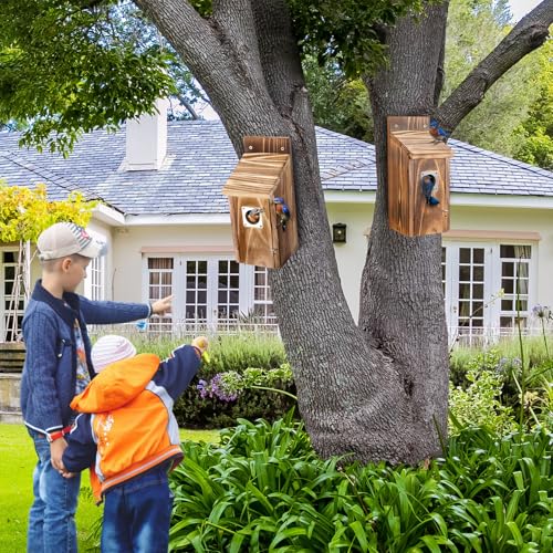 Dreyoo 2 Pack Bluebird Box Houses for Outside,1-1/2'' Entrance Hole Wooden Bird Houses with Metal Guard, Secure Latch,Fledgling Grooves,Air Vents for Bluebird Wren Swallow(Burnt Wood) - color: Burnt Wood