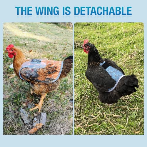 Chicken Saddle with Wing Protector - Chicken Aprons & Vest Jacket for Hens | Chicken Saddles for Hens With Adjustable Straps (Black)