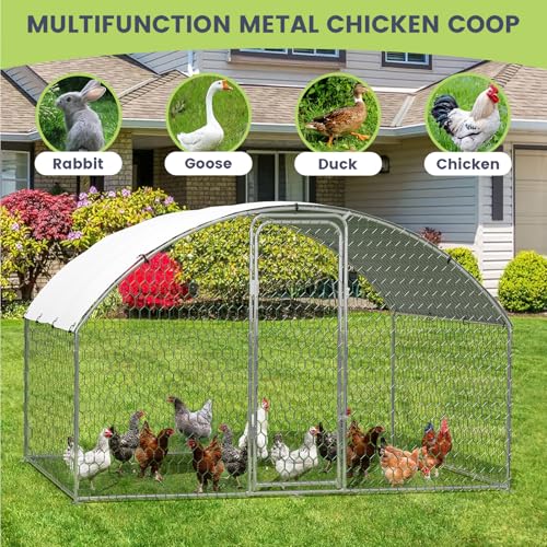 Large Chicken Coop for Yard, Large Metal Chicken Run, Walk-in Poultry Cage with Waterproof and Anti-Uv Cover for Outdoor Backyard Farm, Doom Roof, 9.8×6.5×6.5ft - size: 9.8×6.5×6.5FT