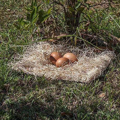 BWOGUE 100g/3.5oz Natural Chicken Hay, Grass Nest Bedding for Hens & Birds | Chicken Laying Pads, Hay for Chicken Coop Nests, Nesting Pad, Soft Laying Surface, Easy Nest Box Placement, Helps Reduce Mess