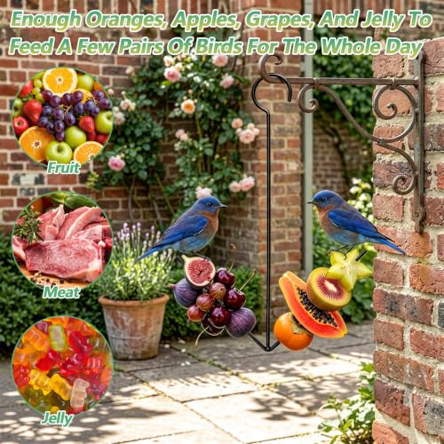 1 Pcs Dual Prong Hanging Bird Feeder, Oriole Feeders for Outdoors Hanging | Fruit Jelly Bird Feeder for Outdoors with Hook, Steel Powder Coated Weather Resistant for Garden Patio
