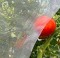 Garden Netting 10x20ft - Ultra Fine Insect Netting for Plants Trees | Garden Mesh Netting for Fruits Flowers Crops, Greenhouse Row Covers Raised Beds Bug Screen, Aphids Cabbage Moth Mosquitoes - size: 10'x20'