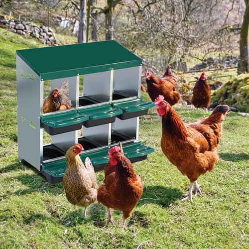 Chicken Nesting Box，Green 6 Hole Chicken Laying Box, Tray for Easy Egg Collection, Large Holes for Ventilation, Suitable for Chickens & Ducks - color: Green, size: 31.9"L x 20.5"W x 31.1"H