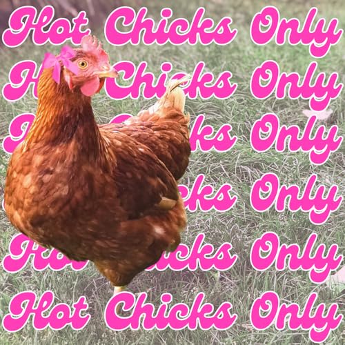 Poultry Pro Hot Chick Feeder Kit, Weatherproof, 3 Ports & Hole Saw | As Seen on Shark Tank, Gravity Fed Chicken Feeder, for Buckets, Barrels, Bins & Troughs, Poultry Feed (Bucket Not Included) - style: Hot Chick Feeder Kit