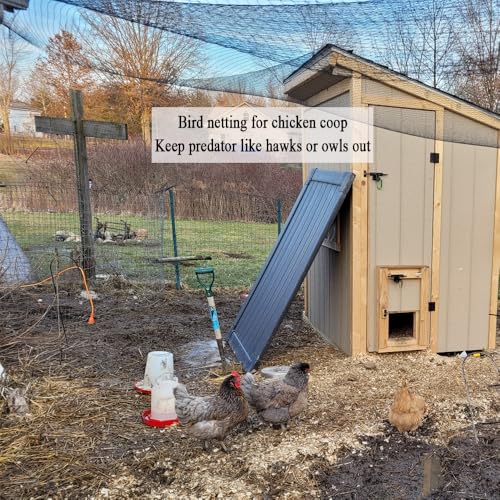Bird Netting for Chicken Coop 25x100 Ft, 1" Mesh Aviary Netting | Woven Chicken Run Roof Cover, Protects Against Hawks & Predator, Heavy Duty Bird Net for Fruit Trees & Garden Protection - size: 25x100Ft-1"