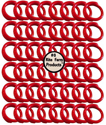 48 Pack of RED #8 Leg Bands 1/2" Chicken Poultry Chick Quail Pigeon Duck Goose