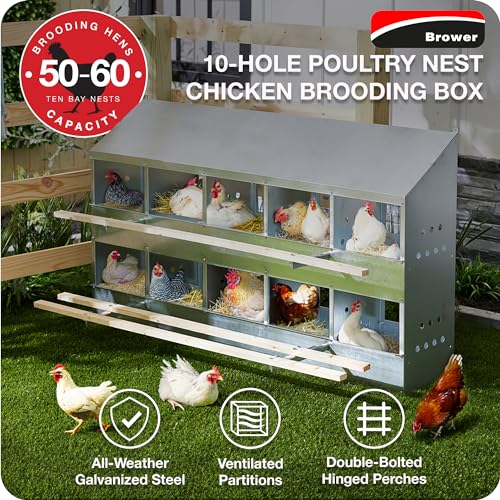 Brower 2-Tier 10-Hole Galvanized Steel Chicken Nesting Box, 50 to 60 Hen Capacity – Outdoor Poultry Laying Station with Hinged Folding Perches, Ventilated Design & Slanted Roof – Made in the USA | Outdoor Poultry Laying Station with Hinged Folding Perches