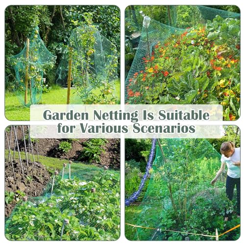 13Ft x 33Ft Anti Bird Netting Protection Mesh Garden Netting Seedlings Plants Flowers Fruit Trees Vegetables from Rodents Deer Reusable Fencing, Green - color: Green