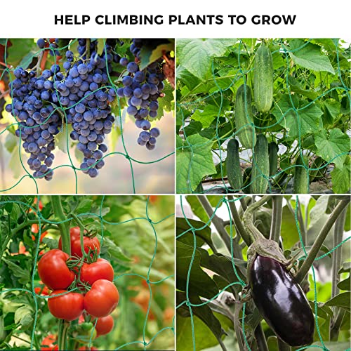 Kikhope Trellis Netting for Climbing Plants, 2 Pack 5.9 ft x 16.4 ft Heavy Duty Garden Trellis Netting for Cucumber, Vine, Tomato, Plants Trellis Net for Climbing Vine Plants Fruits & Vegetables - size: 5.9ft x 16.4ft (2 Packs)