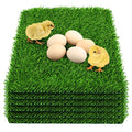 6 Pack Chicken Nesting Box Pads - Washable Artificial Grass Nesting Pads - Chicken Nesting Pads for Chicken Coop and Pet Garden Lawn Indoor Outdoor 12"×12"×1" - color: 6pack-green