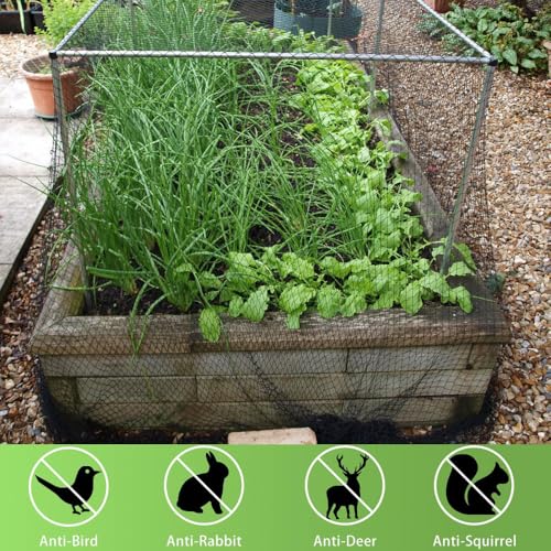 Bird Netting 10x10 Ft, 1/2 in Mesh Heavy Duty Garden Netting | Extra Strong Woven Mesh Netting Pest Barrier for Plants, Fruit Trees, Vegetables, Animal Fencing Against Birds, Deer, Poultry - size: 10x10Ft