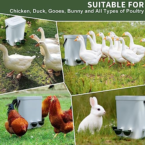 Chicken Water Cups 12 Pack, Automatic Filling Waterer Feeder Bowl, Gravity Poultry Watering System, Chicken Water Dispenser, Chicken Coop Accessories for Hens, Duck, Goose, Turkey (Green) - color: Green 12cups