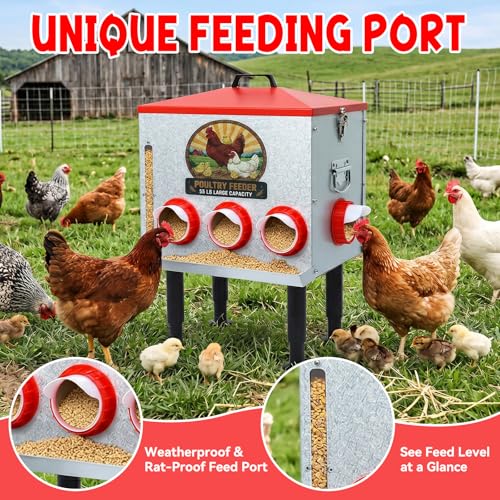 55LB Automatic Chicken Feeder Large for Chickens, Ducks and Poultry | Large Poultry Feeder, with 8 Feeding Ports, Viewing Window, Rainproof Lid, Adjustable Legs & Locking Cover