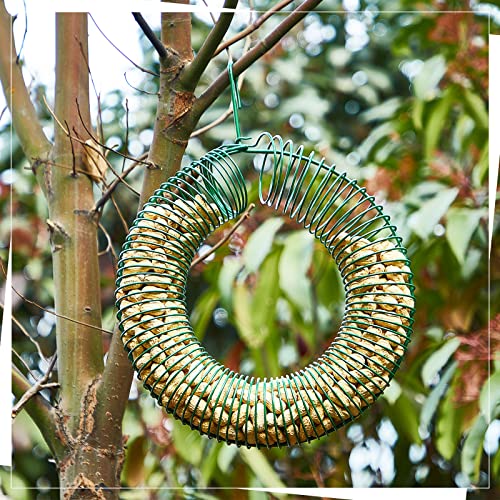 Patelai 2 Pieces Hanging Wreath Feeder Whole Peanut Wild Bird Feeder Wreath Round Squirrel Proof Bird Feeders with Hanging Hook for Outdoor Birds Feeding, 11.8 x 16.5 Inch(Green)