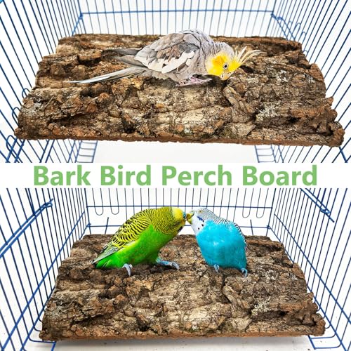 Cork Bark Perch for Birds 16"X12" Natural Cork Chewing Toy 2 PCS Flat Budgies Bark Seat Board Wood Bark Background Decor Panel Birdcage Accessories for Parakeet Lovebirds Cockatiels Conures