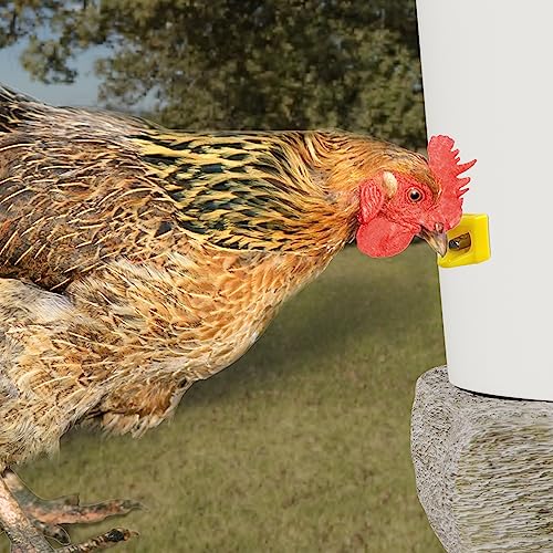 Chicken Waterer Nipples, Horizontal Side Mount, Anti-Leak Automatic Water System for Poultry, Suitable for Chickens, Duck, Quail, Pack of 20, Includes Drill Bit & Installation Tool