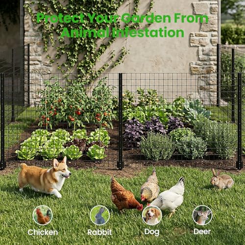 Welded Wire Garden Fence, 35.4Inch x 50FT Steel Poultry Fencing | Rust-Resistant Galvanized Animal Barrier Fence with Upgraded Metal Posts for Vegetable Garden, Flower Bed, Lawn, Backyards - color: Black, size: 35.4Inch x 50FT