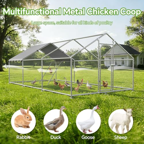 Large Metal Chicken Coop with Roosting Perch and Cover | Spire roof chicken run with waterproof UV-resistant cover, 10' W x 19.7' L x 6.4' outdoor poultry cage - size: 240.0"L x 120.0"W x 76.8"H