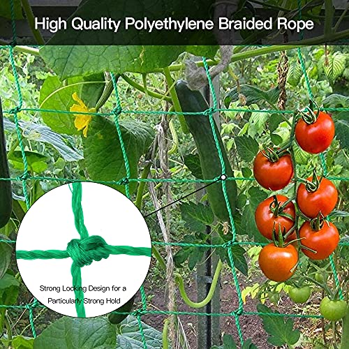 Trellis Netting, PDGROW Climbing Plant Support Net Garden Pea Bean Neting, Heavy-Duty PE Trellis Net for Cucumber, Tomato, Vegetables, Fruits, Sweet Pea Plants (6.6' x 8.2'Ft) - size: 6.6' x 8.2'