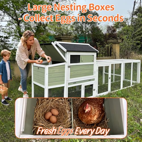 Chicken Coop, Large Wooden Chicken Coop with Nesting Boxes & Run Cage for 3-6 Chickens, Outdoor Hen House Poultry Hutch Rabbit Cage with No-Slip Ramp & Pull-Out Tray for Backyard Farm(Gray Green) - color: grey green