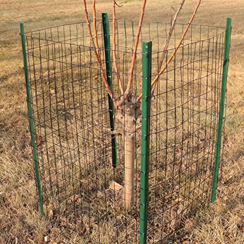 Black PVC Coated Welded Wire Fence 24" x 50' Roll, 2"x3" Mesh, 16 Gauge | Vinyl Coated Garden Fencing, Yard & Pet Barrier, Chicken Wire Fencing, Dog Enclosure Mesh, Vegetable Plant Protector - color: Black, size: 2''x3'' 16GA 24''x50'