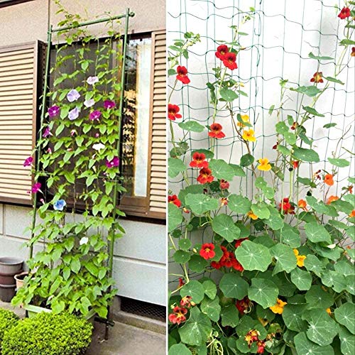 Pack of 2 Cucumber Tomato Trellis Netting, Heavy Duty Garden Netting Support for Climbing Plants, Pea, Grape, Bean, Fruit, Vegetables - 4" Mesh Size - 6Ft x 16.4Ft - size: 6Ft*16.4Ft