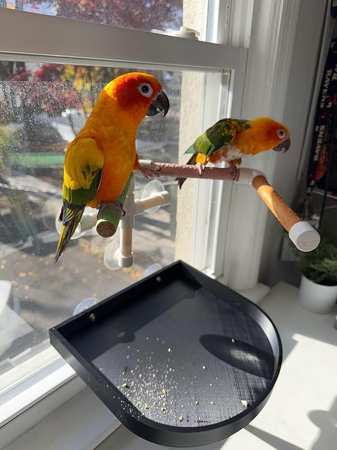 CleanPerch™ Bird Food Waste Catcher Tray with Suction Cups. Seed, Shell & Dropping Catcher with Patent-Pending Design. Easy-Clean, Low Profile (Black, 12" x 11.5" x 3.7") - color: Black, size: 12" x 11.5" x 3.7"