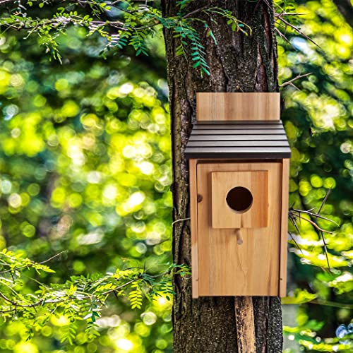 CARTMAN 0.5 Inch Thick Blue Bird Box House, Wood Bird Houses for Outside, Hummingbird House for Outside Clearance Garden Country Cottages, 2PK - style: Mailbox 2pk