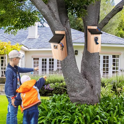 Dreyoo 2 Pack Bluebird Box Houses for Outside,1-1/2'' Entrance Hole Wooden Bird Houses with Metal Guard, Secure Latch,Fledgling Grooves,Air Vents for Bluebird Wren Swallow(Dark Wood) - color: Dark Wood