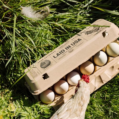 Hatortempt 48pc Egg Cartons Cheap Bulk 12 Count, Reusable Dozen Egg Crates | Sturdy Cardboard Paper Pulp - S-XL Chicken & Duck Egg Cartons - Rustic Custom Design - Empty Egg Containers for Fresh Eggs - size: 48-Pack