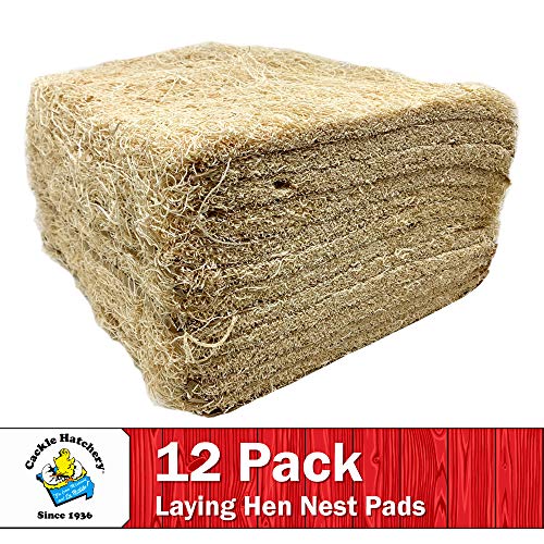 Laying Hen Nest Box Pads Made in USA from Sustainable Aspen Exceslior - 13x13 Nesting Box Liners (12 Pack) - size: 12 Pack