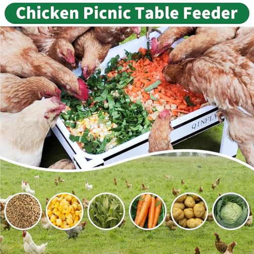 Large Chicken Picnic Table Feeders with Removable Plastic Tray | Feeder No Waste Starter Kit,Coop Accessories for Real Chickens Supplies - color: White-Black