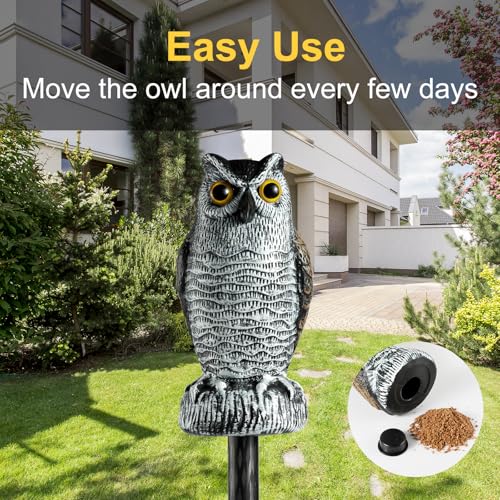 OFFO Fake Owls, Plastic Owl Statue to Decorate The Garden, Porch Pool Patio Yard, Halloween Decorations for Outdoor Garden, 8.3-Inch Height, Brown and White - color: Round Ear Owl Brown, size: 8 in