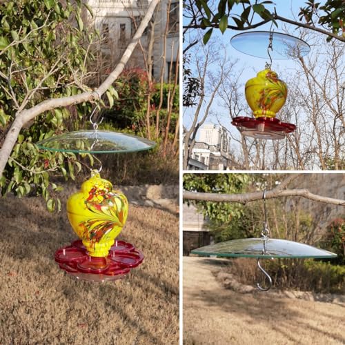 10" Small Glass Rain Cover for Bird Feeder, Clear Weather Guard Dome Shield | Stainless Hooks & Shatterproof Squirrel Baffle Protective for Hook Hanging Outdoors, Wild Bird House Protector, Dia. 20cm - color: Clear, size: 1PC/Pack