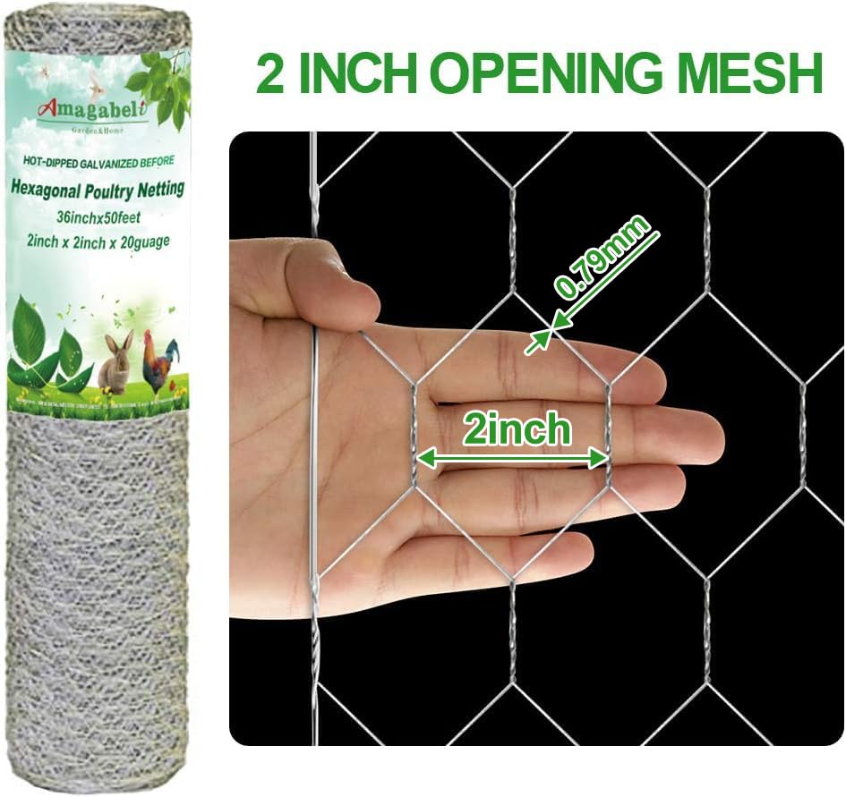 Amagabeli Chicken Wire Fencing Poultry Wire Netting 36inch x 50ft 2 Inch Hexagonal Galvanized Mesh Garden Fence Animal Barrier for Garden Protection Craft Rabbit Cage Dog Roll Chicken Coop Accessories - size: 2" 36"x50'
