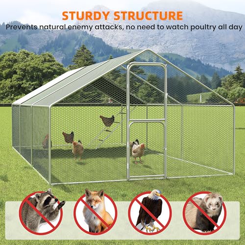UDPATIO Large Metal Chicken Coop Walk in & Run– Heavy Duty Outdoor Poultry Run with Protective Cover for 25-35 Chickens, Ducks, or Rabbits | Predator-Proof & Weather-Resistant | Double Feed Door UV-Resistant Cover Heavy Duty Outdoor Cage for Bird Duck Rab