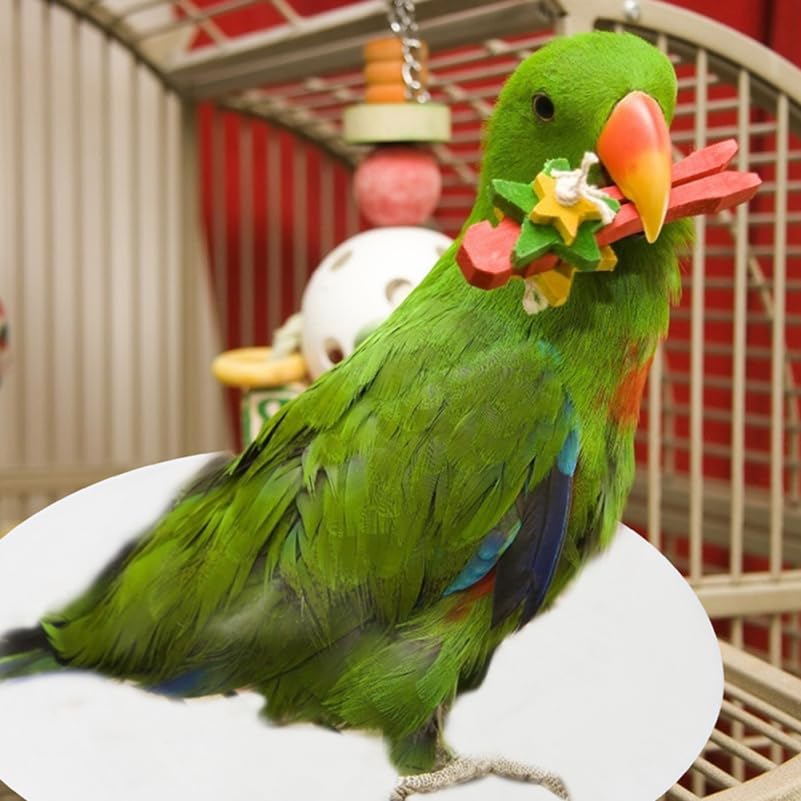 Abaodam 100Pcs Non-Woven Round Bird Cage Liners Absorbent Disposable Pads for Parrot and Small Animal Cages 12.59X12.59In Easy Clean Cage Bottom Cushions - size: 32x32cm