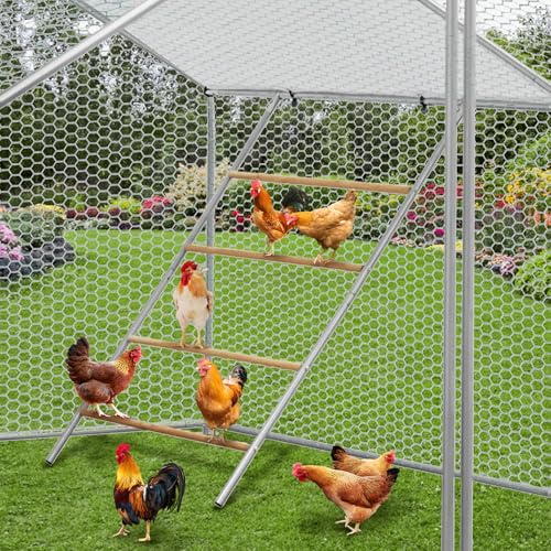 Chicken Perch for Coop, Chicken Roosting Bars, Easy to Assemble, for Backyard Chickens Coop and Farms, 55'' L x 39'' W