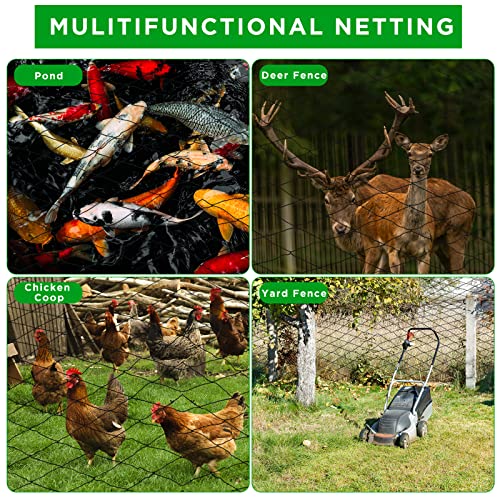 Windyun 1 Pcs Bird Netting 50' X 50', 2.4" Mesh Poultry Net for Garden | Heavy Duty Reusable Poultry Barrier for Fruit Tree, Vineyard, Chicken Coop Protection Against Deer, Hawk, Squirrel - size: 50' X 50'